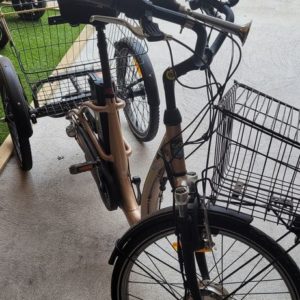 Tricycle électrique occasion